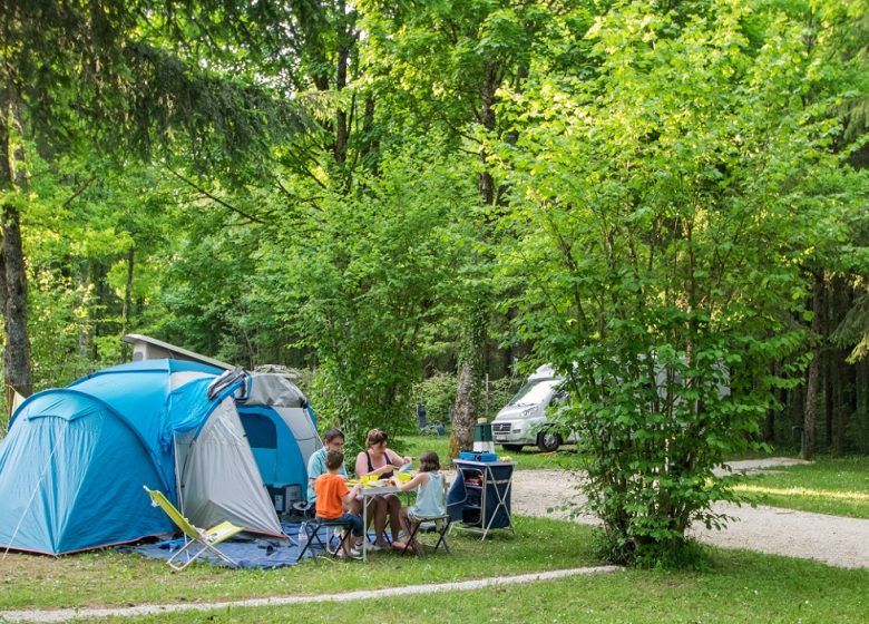 Emplacement tente CAMPING – DE LA FORÊT_4