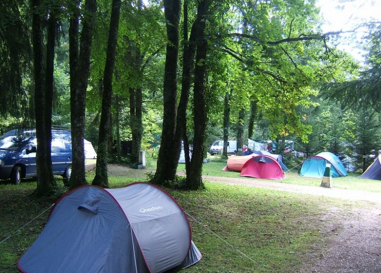 CAMPING – DE LA FORÊT_7