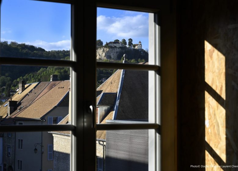 Vue sur le Château depuis le jardin d’hiver