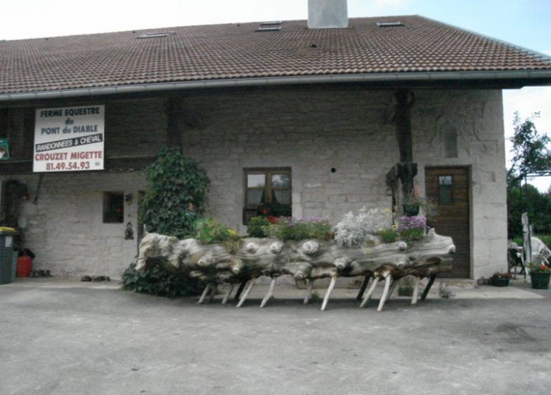 FERME ÉQUESTRE DU PONT DU DIABLE_3