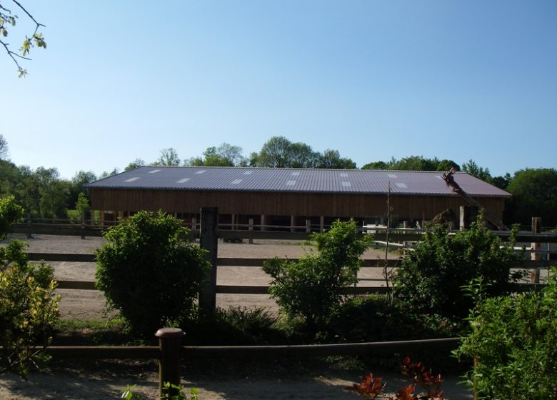 FERME ÉQUESTRE DU PONT DU DIABLE_4