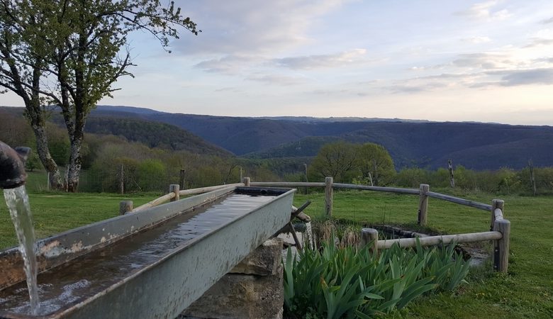 CHAMBRES D’HÔTES – AU NID DE LA GRANGE FOREST_3