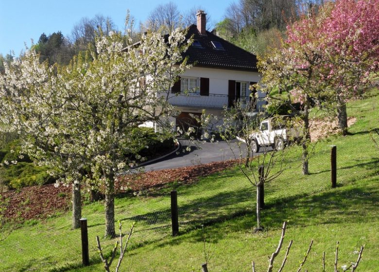 APPARTEMENT – GÎTE DU BORD DE LOUE_1