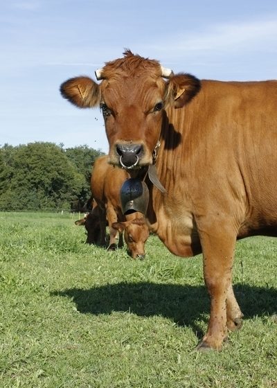 FERME DU RONDEAU_3