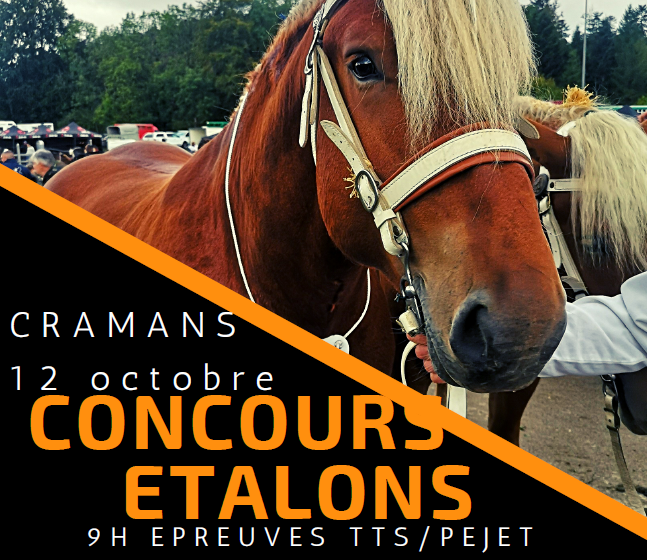 Concours étalons comtois