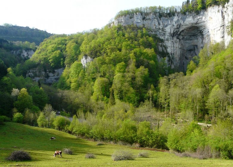 Grotte Sarrazine