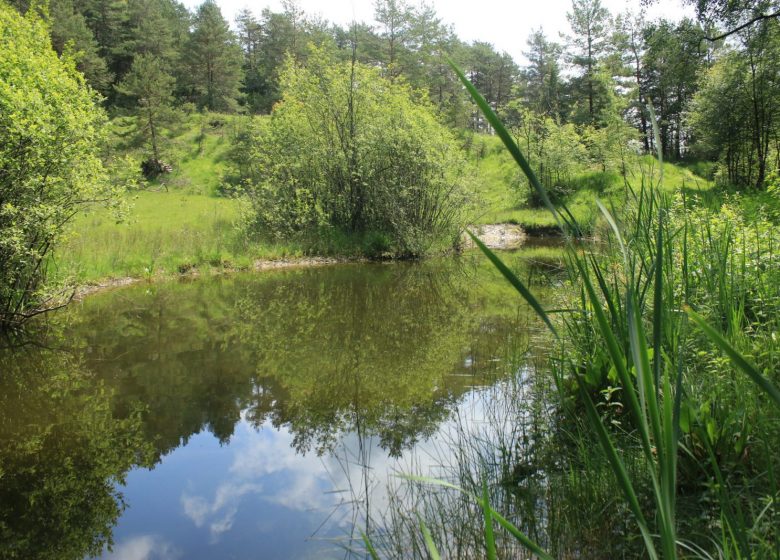 Sentier de la Motte