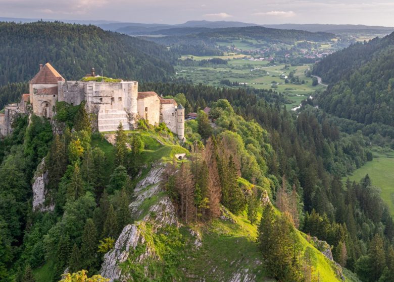 Château de Joux