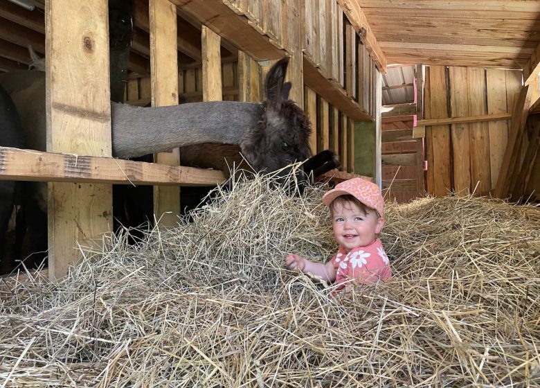 Jeune enfants à la ferme