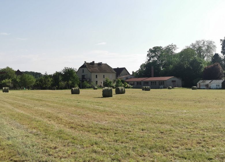 Le terrain auquel vous aurez accès, après la fenaison