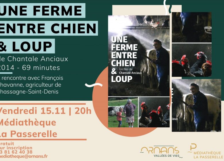 Panneaux -Projection conférence du 15 novembre