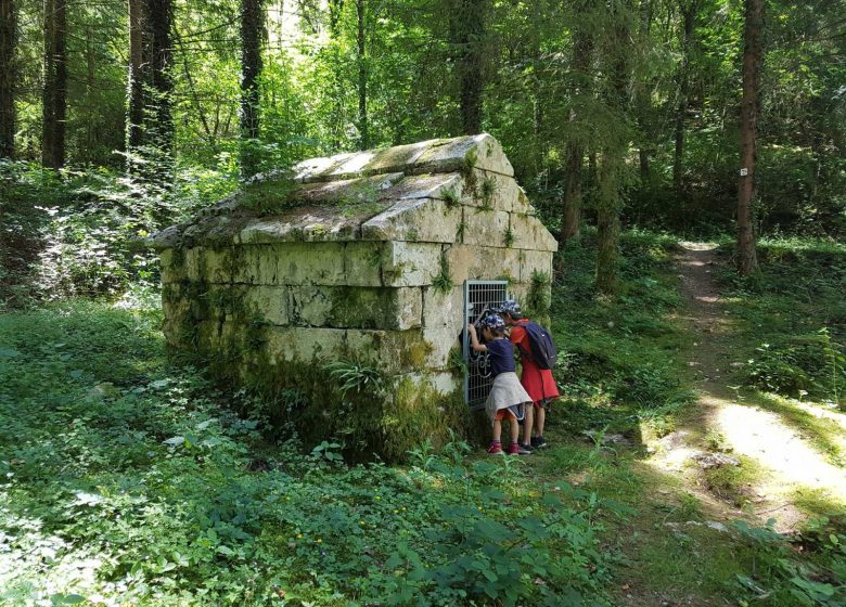 Sentier de Lachenaud