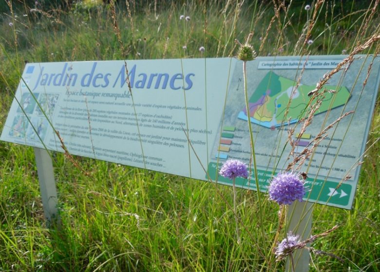 Sentier du Jardin des Marnes