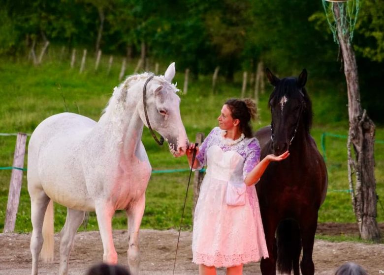 atelier de sensibilisation au cheval © Lucie et les chevaux