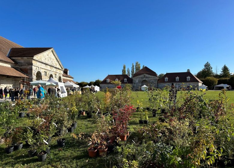 foire aux plantes