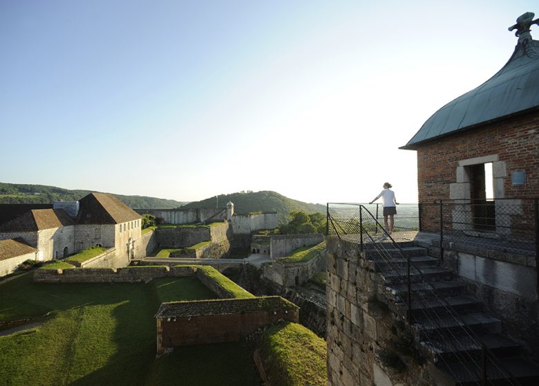 la Citadelle vue de la tour du Roi