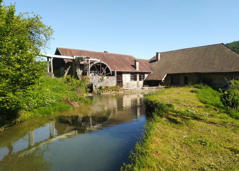 roue extérieur