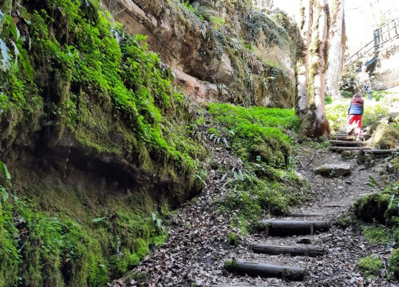 Sentier karstique