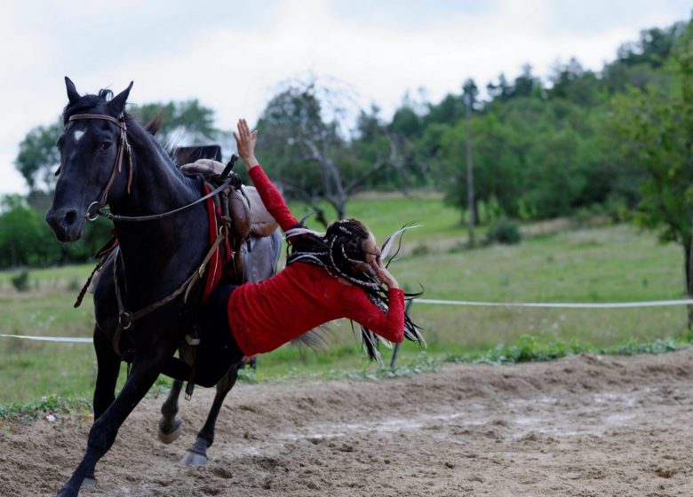 voltige © Lucie et les chevaux