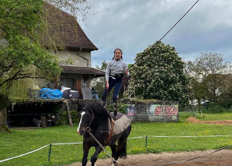 voltige 1© Lucie et les chevaux